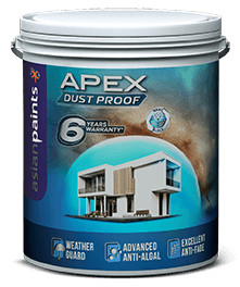 Asian Paints Apex Dust Proof pack