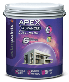 Asian Paints Apex Advanced Dust Proof pack